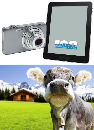 foto Fotowettbewerb